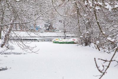 Прикрепленное изображение: IMG_7539.jpg